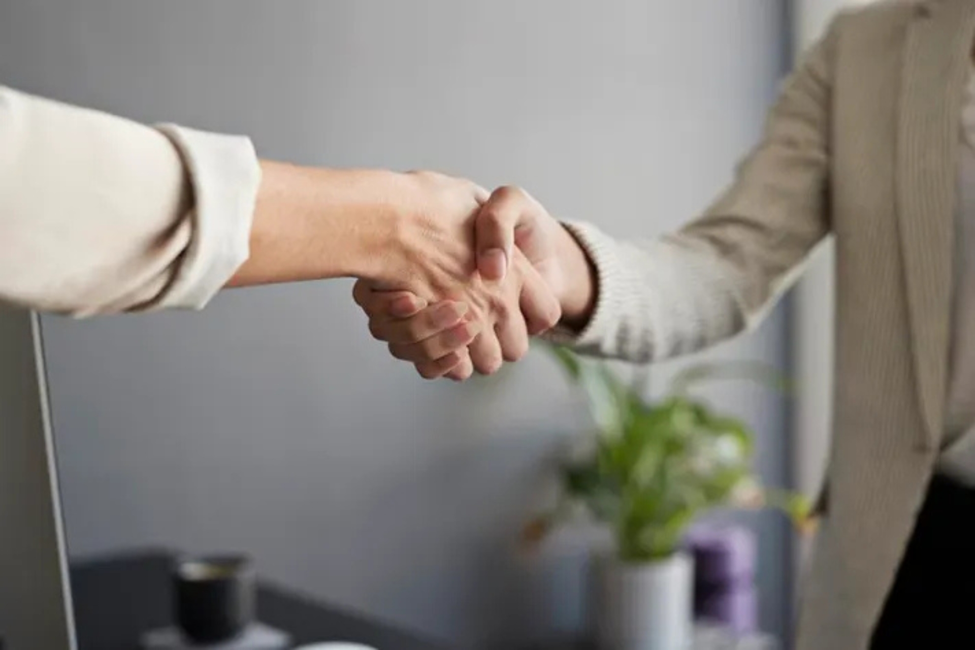 B2B Partnerships