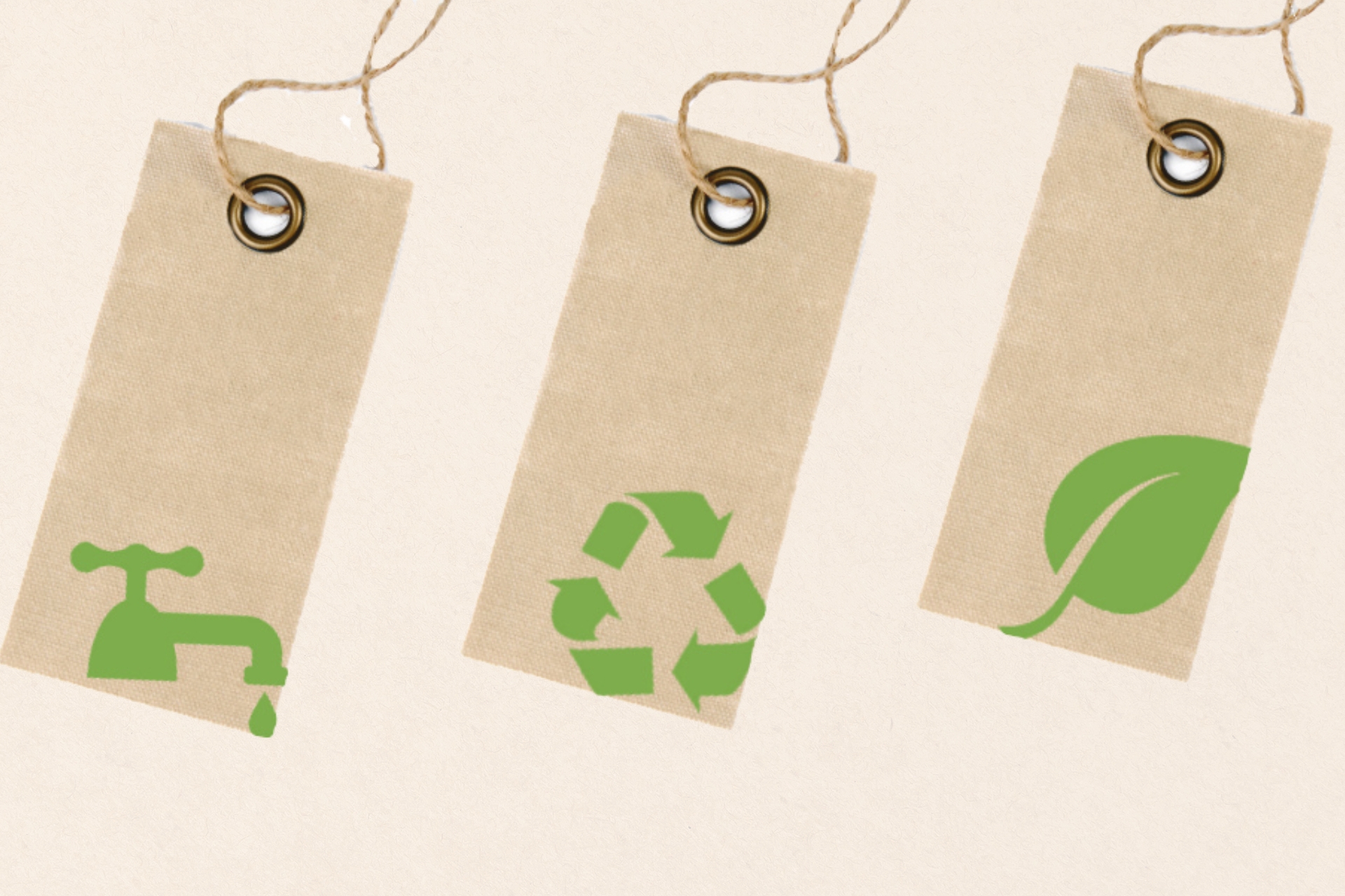 Sustainable & Ethically Sourced Options